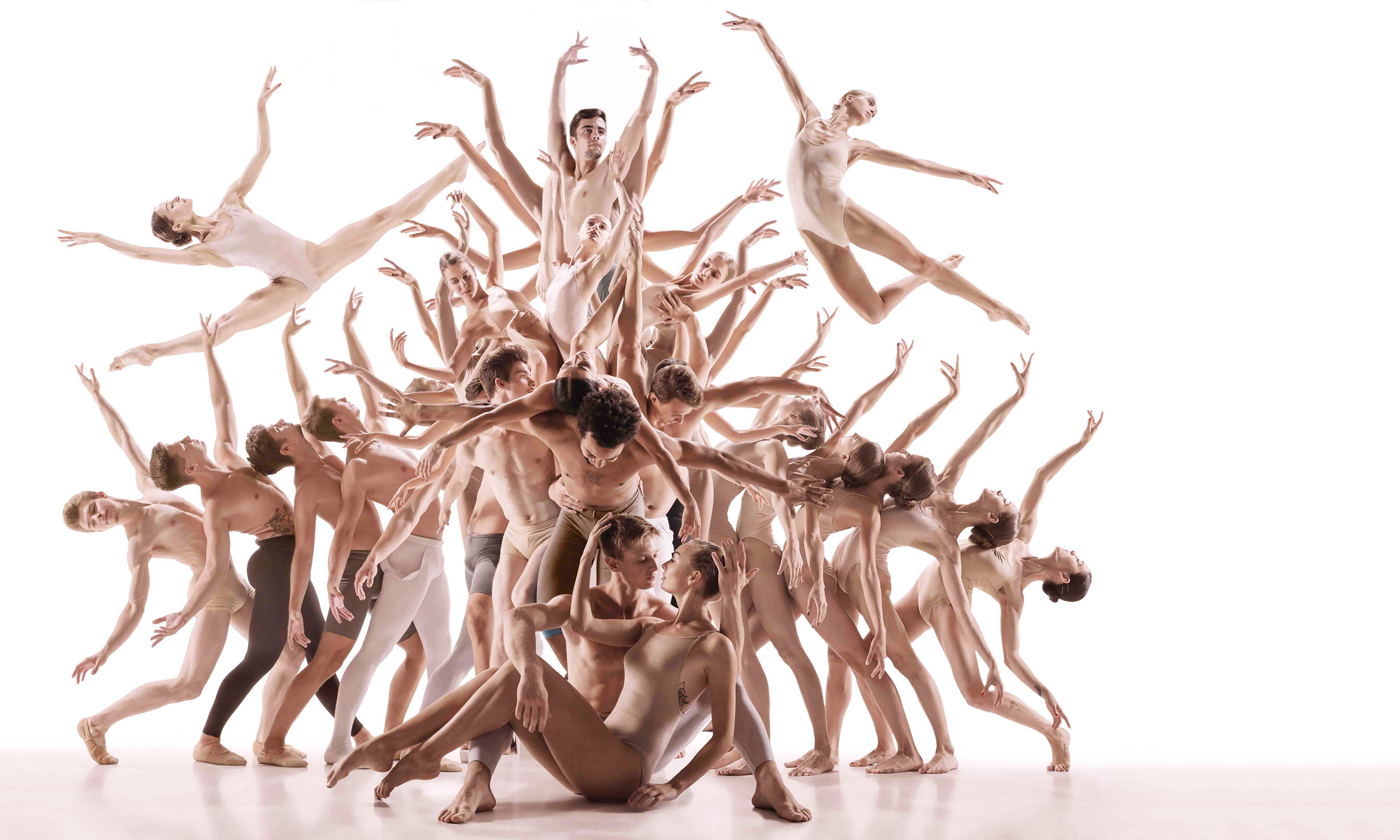 O poder ilimitado das comunidades sem líderes