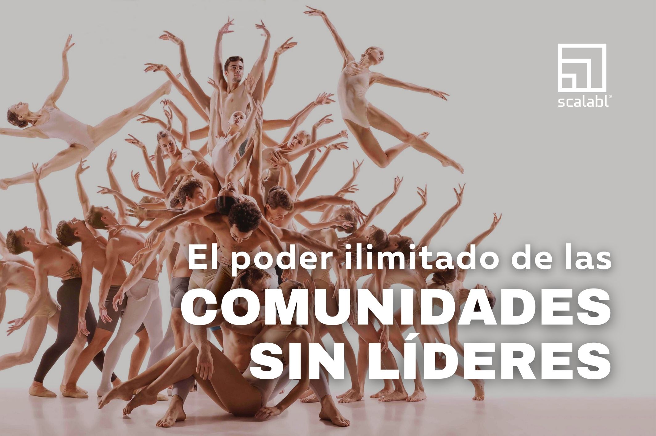 El poder ilimitado de las comunidades sin líderes