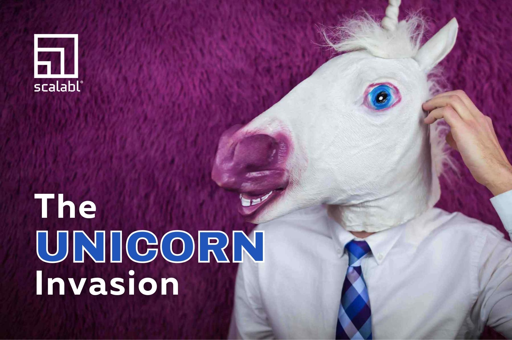 The Unicorn Invasion